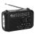 FEPE RADIO FP-295-S